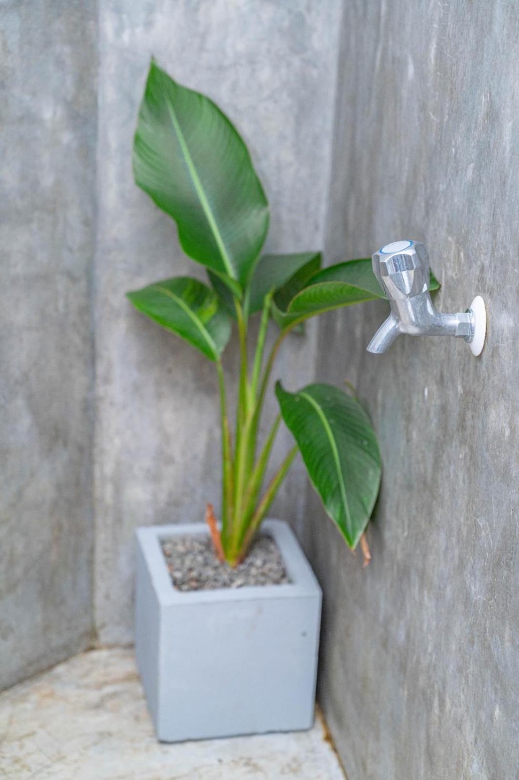Cosynsurf Matara Exterior foto